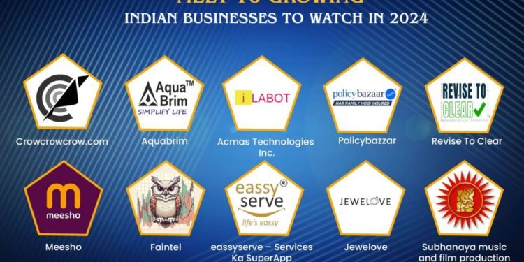 Meet 10 Growing Indian Businesses to Watch in 2024