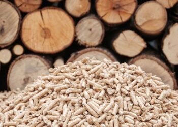 Shubhshree Biofuels Energy Ltd.: Pioneering Sustainable Biofuel Solutions for a Greener Future