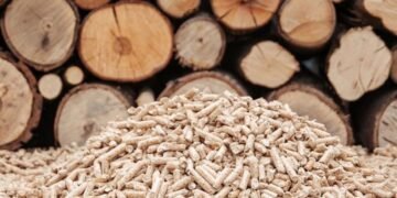 Shubhshree Biofuels Energy Ltd.: Pioneering Sustainable Biofuel Solutions for a Greener Future