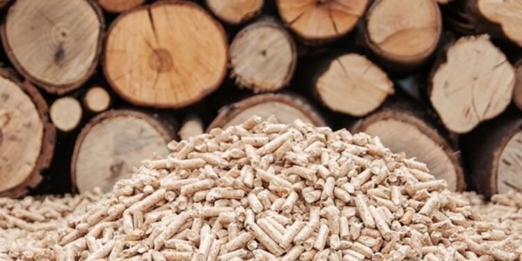 Shubhshree Biofuels Energy Ltd.: Pioneering Sustainable Biofuel Solutions for a Greener Future