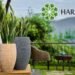 Harshdeep Hortico Limited Reports Strong Operating Results for the year Ended March 31, 2024