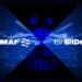 IMMAF Announces BitDelta as Its Trading Partner in a Bid to Boost Mixed Martial Arts