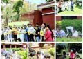 Earth Day, Smiling Tree led by Aarav and Alina Kwatra Inspires Eco-Activism