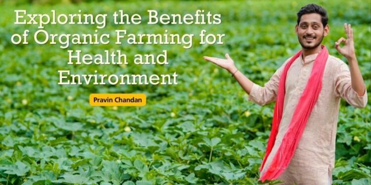 Exploring the Benefits of Organic Farming for Health and Environment