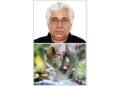 Conflicted Coexistence by Author and Wildlife Photographer Sunil Gadhoke