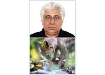 Conflicted Coexistence by Author and Wildlife Photographer Sunil Gadhoke