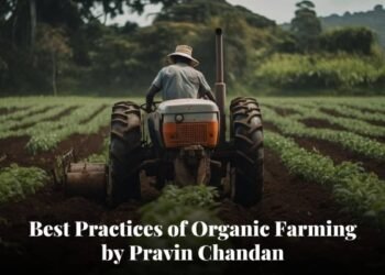 Pravin Chandan’s Best Practices of Organic Farming Done in India to Maximizing Yield