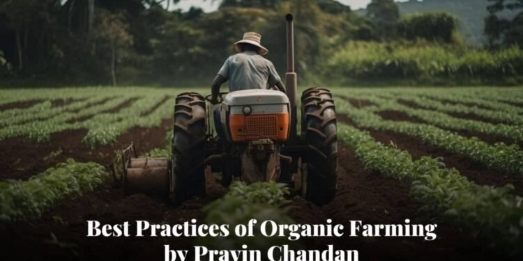 Pravin Chandan’s Best Practices of Organic Farming Done in India to Maximizing Yield