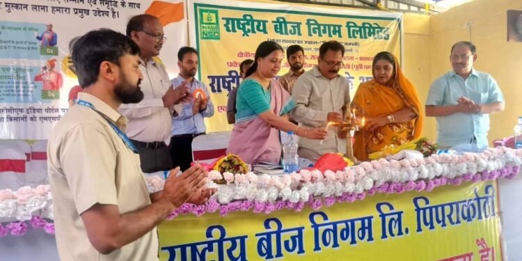 Government of India Accelerates Maize Production to Achieve Ethanol Blending Targets