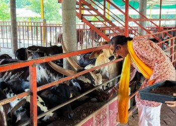 Dinesh Shahra Foundation Supports Gau Swarga’s Mission to Preserve Indigenous Cows, Participates in Gau Seva