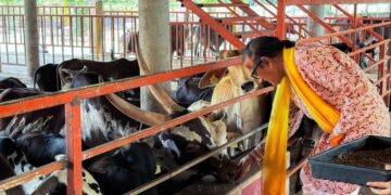 Dinesh Shahra Foundation Supports Gau Swarga’s Mission to Preserve Indigenous Cows, Participates in Gau Seva