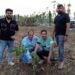 Sapphire Buildsquare pledges to plant trees for each project on Environment Day
