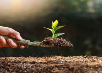 Organic Farming Policies and Support: What Farmers Need to Know