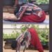 M N Sailaja From Andhra Pradesh wishing To all International Yoga Day 204