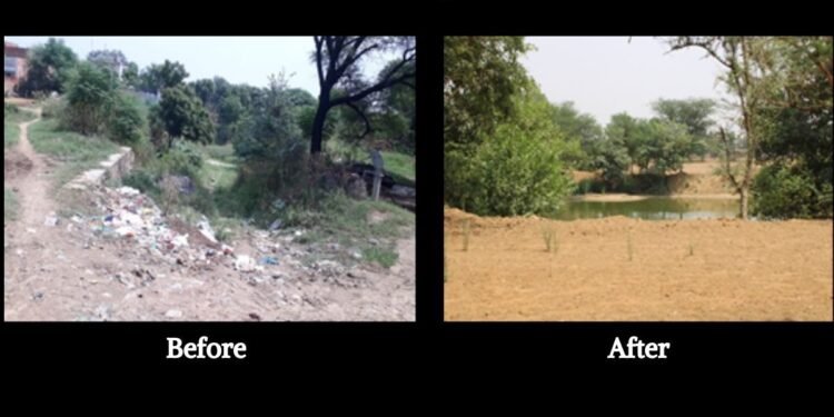 SBI Foundation Celebrating World Environment Day: Uniting for a Sustainable Future