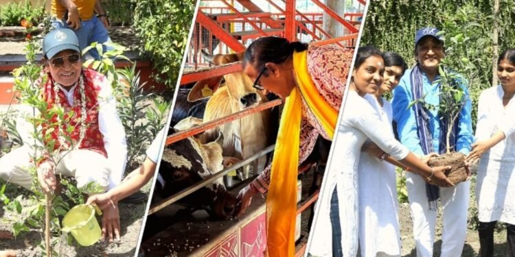 Dinesh Shahra Foundation Leads Environmental Protection Efforts further to World Environment Day