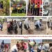 Merino’s Environmental Ode on World Environment Day Extends with Plantation Drives in Hapur And Halol