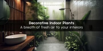 A breath of fresh air to your interiors – Decorative Indoor Plants
