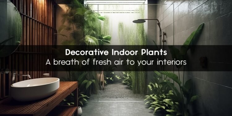 A breath of fresh air to your interiors – Decorative Indoor Plants