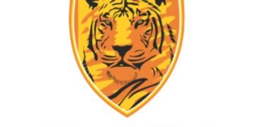 Shera Energy Reports 46 Percent Increase in Consolidated PAT for Q1 FY25