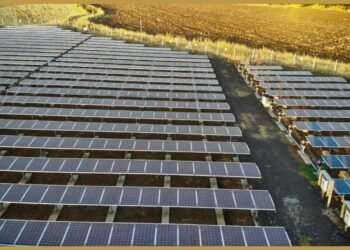 Dynamic Services and Security Ltd. Teams Up for Major Solar Power Project: 100 MW Plant in Manipur