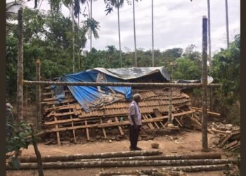 From Crisis to Resilience: Impact-Driven Stories of Lives Transformed by SEEDS’ Emergency Response