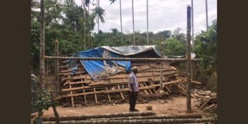 From Crisis to Resilience: Impact-Driven Stories of Lives Transformed by SEEDS’ Emergency Response