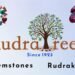 RudraTree: Your Premier Source for Authentic Gemstones in Bangalore Introduction