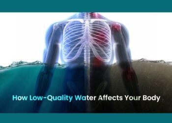 How Low-Quality Water Affects Your Body