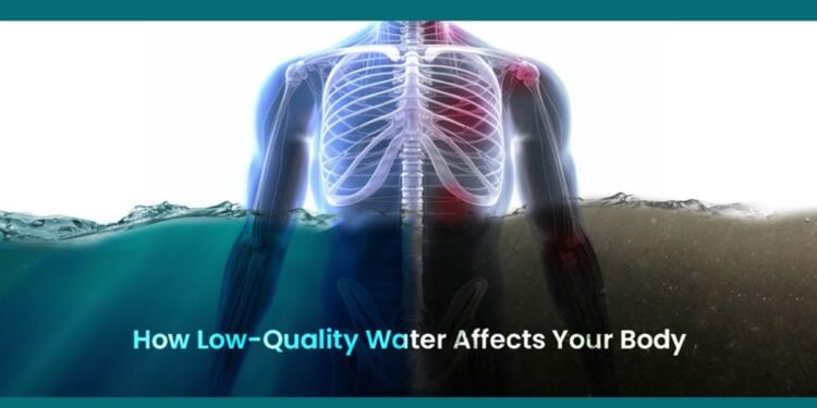 How Low-Quality Water Affects Your Body