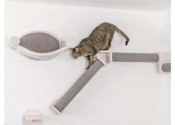 ABK Imports Pvt Ltd Unveils Revolutionary New Pet Care Products in India