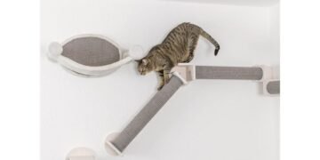 ABK Imports Pvt Ltd Unveils Revolutionary New Pet Care Products in India