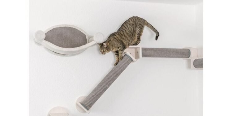 ABK Imports Pvt Ltd Unveils Revolutionary New Pet Care Products in India