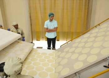 Agastya Patel of Bhagwati Group aims to make papad a global snackable food