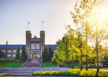 IIT Bombay – WashU Invites CXOs to Apply for the 10th Executive MBA Batch | Starts Jan 2025