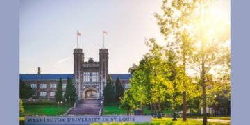 IIT Bombay – WashU Invites CXOs to Apply for the 10th Executive MBA Batch | Starts Jan 2025