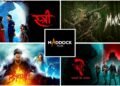Content is King: How Dinesh Vijan’s Maddock Films Ruled 2024 with ₹1,300 Crores in Box Office Success