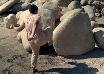 Kiran Nadar Musuem of Art Presents The Elemental You