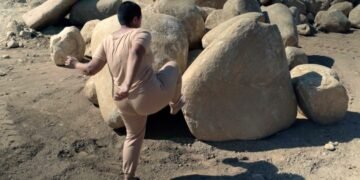 Kiran Nadar Musuem of Art Presents The Elemental You