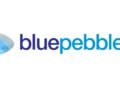 Blue Pebble Limited H1 FY25 Results: PAT Soars by 356.27%
