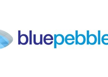 Blue Pebble Limited H1 FY25 Results: PAT Soars by 356.27%