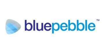 Blue Pebble Limited H1 FY25 Results: PAT Soars by 356.27%
