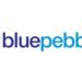 Blue Pebble Limited H1 FY25 Results: PAT Soars by 356.27%