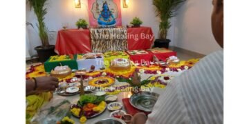 The Healing Bay: Mumbai’s Trusted Name in Rudraksha, Holistic Products, and Vedic Puja Services