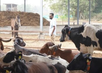 From Farm to Family – Karna Desai’s Vision for a Sustainable Dairy Future