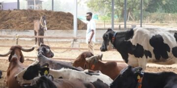 From Farm to Family – Karna Desai’s Vision for a Sustainable Dairy Future