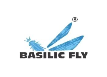 Basilic Fly Studio Reports Rs 77 Cr in Total Revenue for H1 FY25