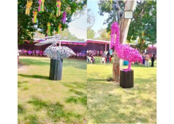 Bharat Kool Festival Showcases Sustainable Art and Cultural Heritage