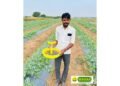 Farmers Across India Reap Benefits from Integrated Pest Management Solutions by Wavar