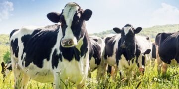 Maharashtra Animal Husbandry Department launches Maharashtra Methane Mission (M3) in collaboration with eVerse.AI